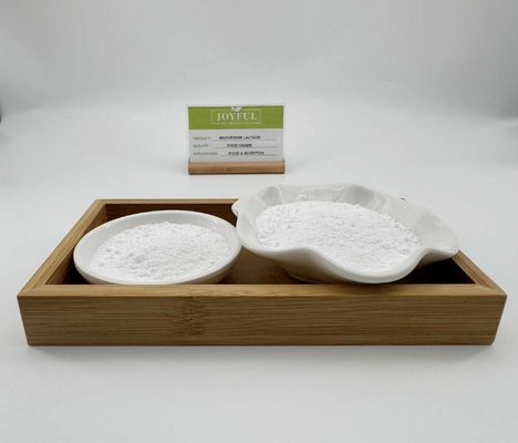 comprare Grado alimentare Magnesio lattato diidrato in polvere Acqua solubile fabbricazione online